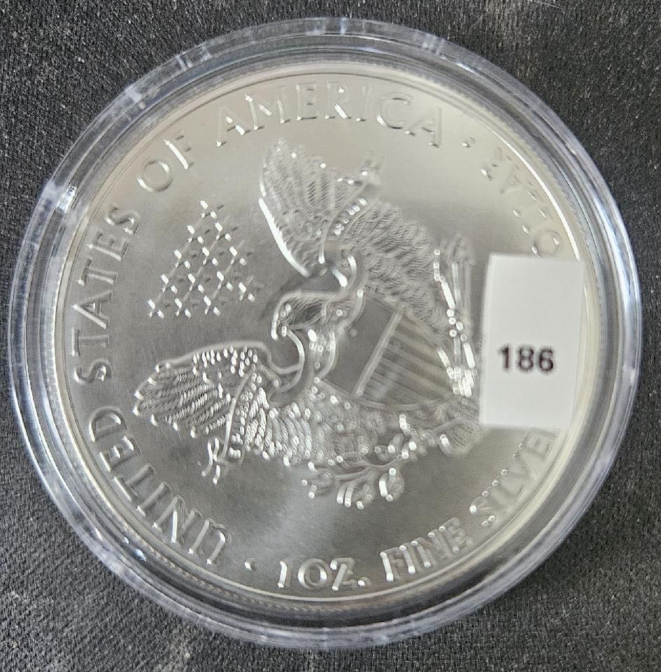 American Silver Eagle 2015  coin collectible - Main Image 3