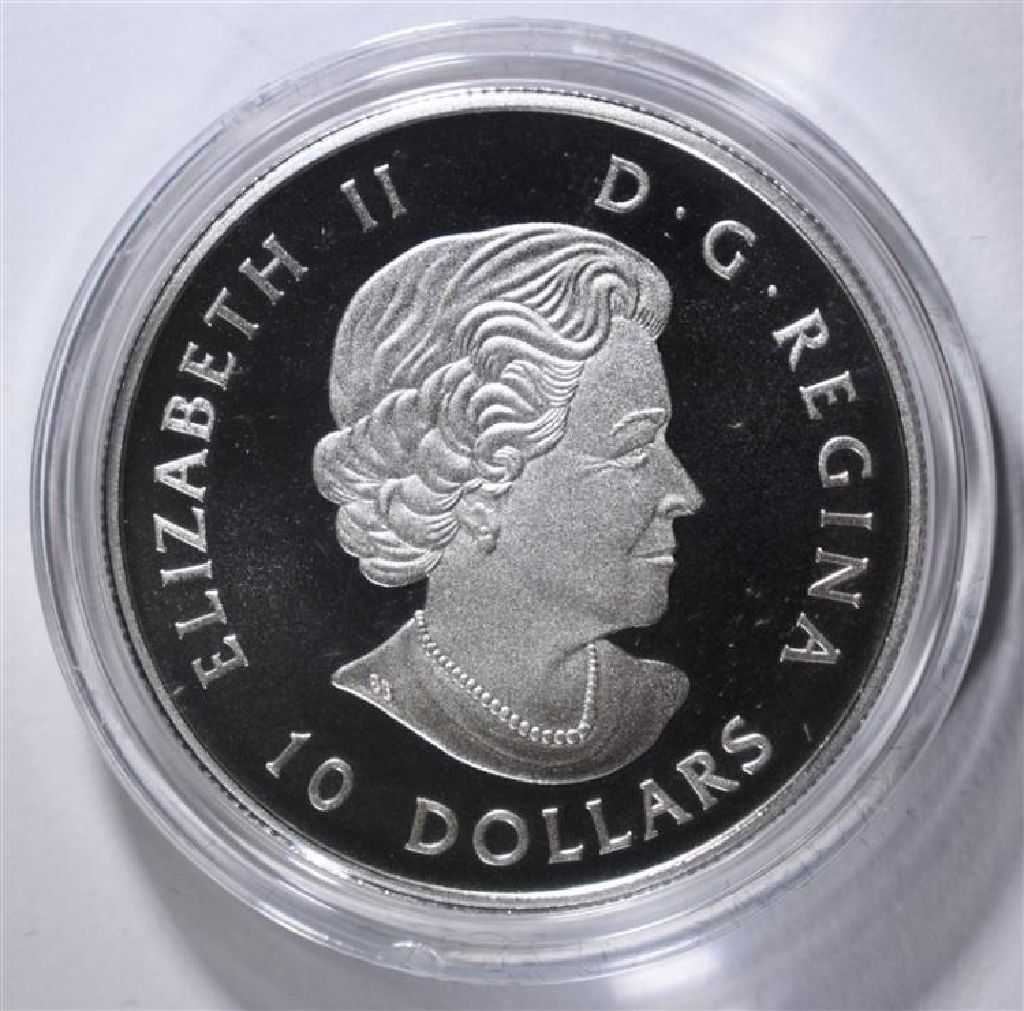 The Common Loon  coin collectible - Main Image 2