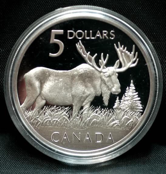 2008 P Hawaii Quarter