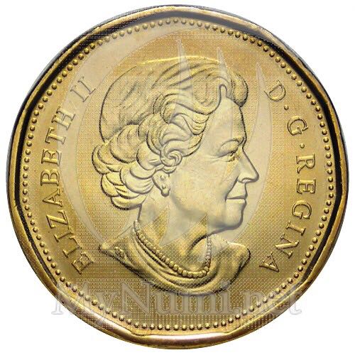 Canada - 1 Dollar (Lucky Loonie)  coin collectible - Main Image 2