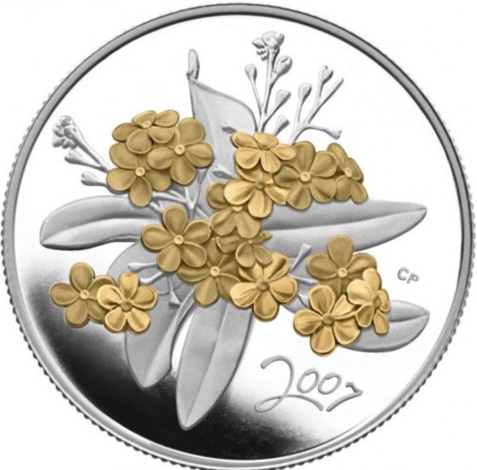 Roll Of Canadian 25 Cent Coins