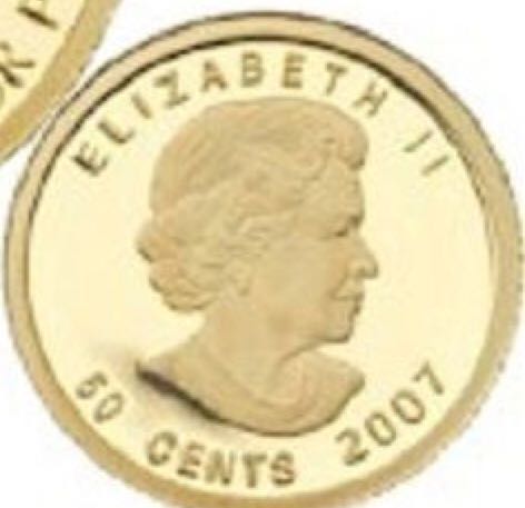 1/25 Troy Ounce Gold - Special Gold Maple Leaf  coin collectible - Main Image 2