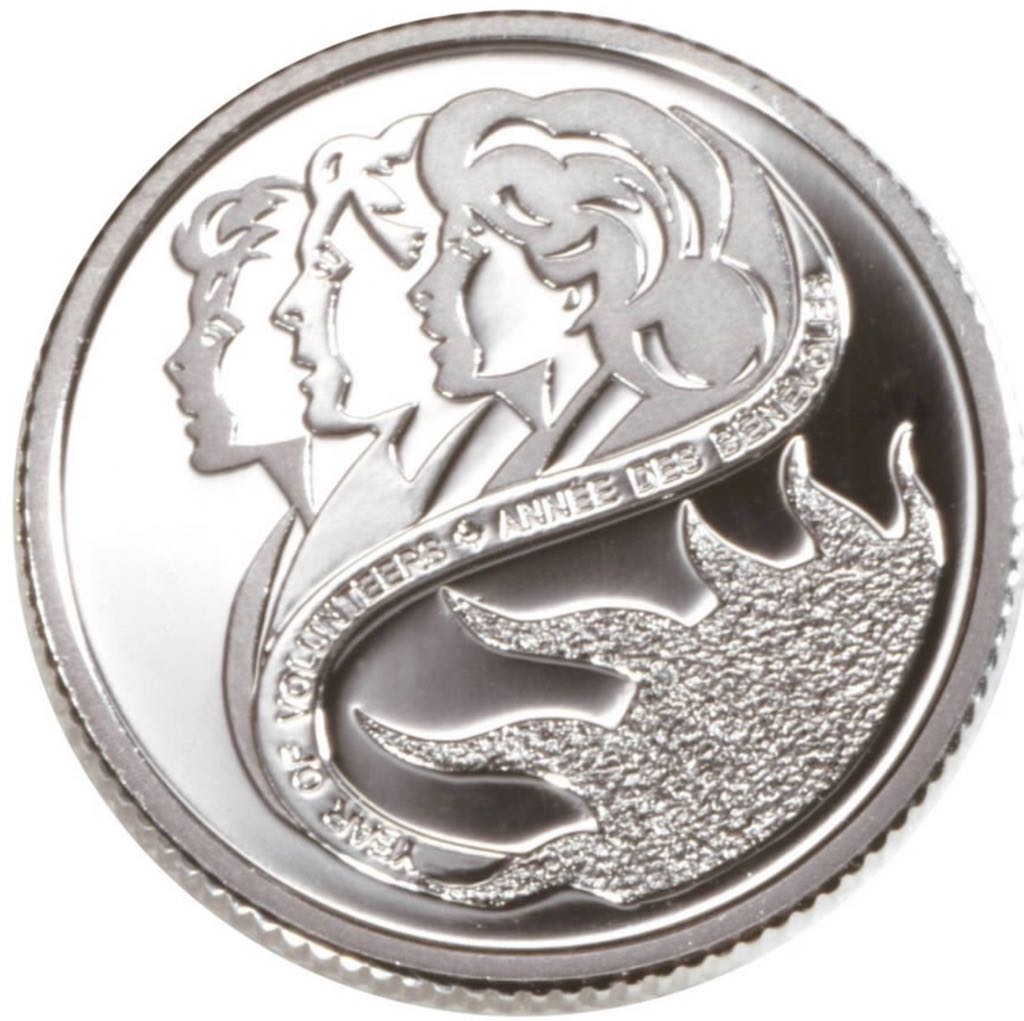 Year Of The Volunteer - Collector Card 2001 10 Cents  coin collectible - Main Image 2