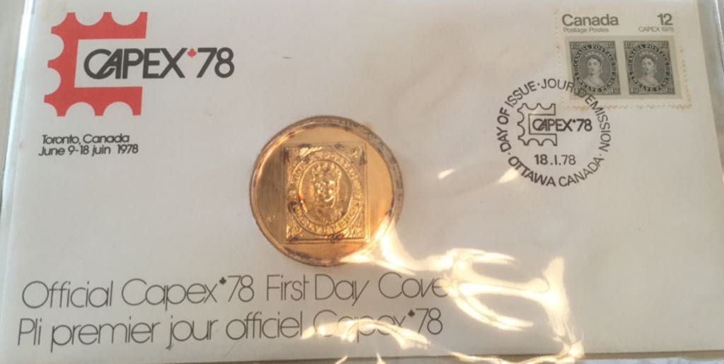 Birds Of Prey - Bald Eagle