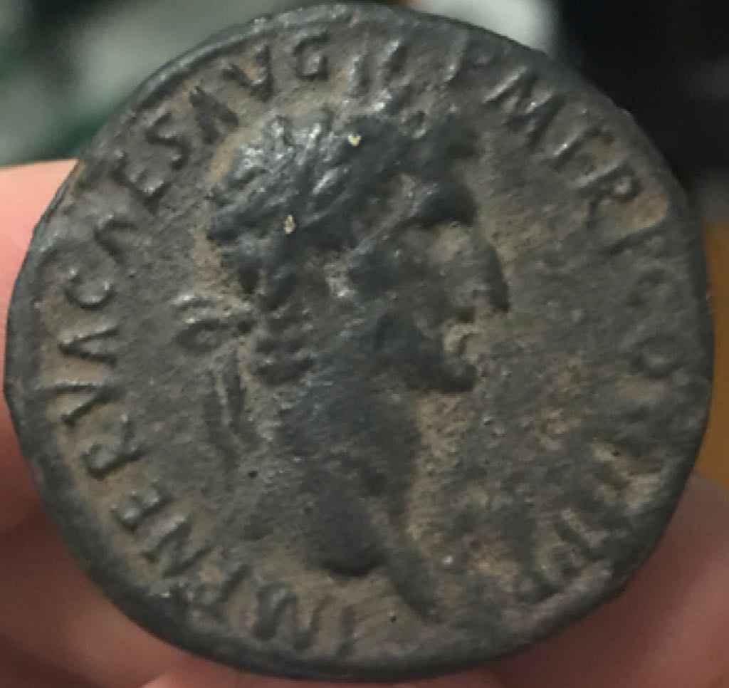 Roll Of Canadian 50 Cent Coins