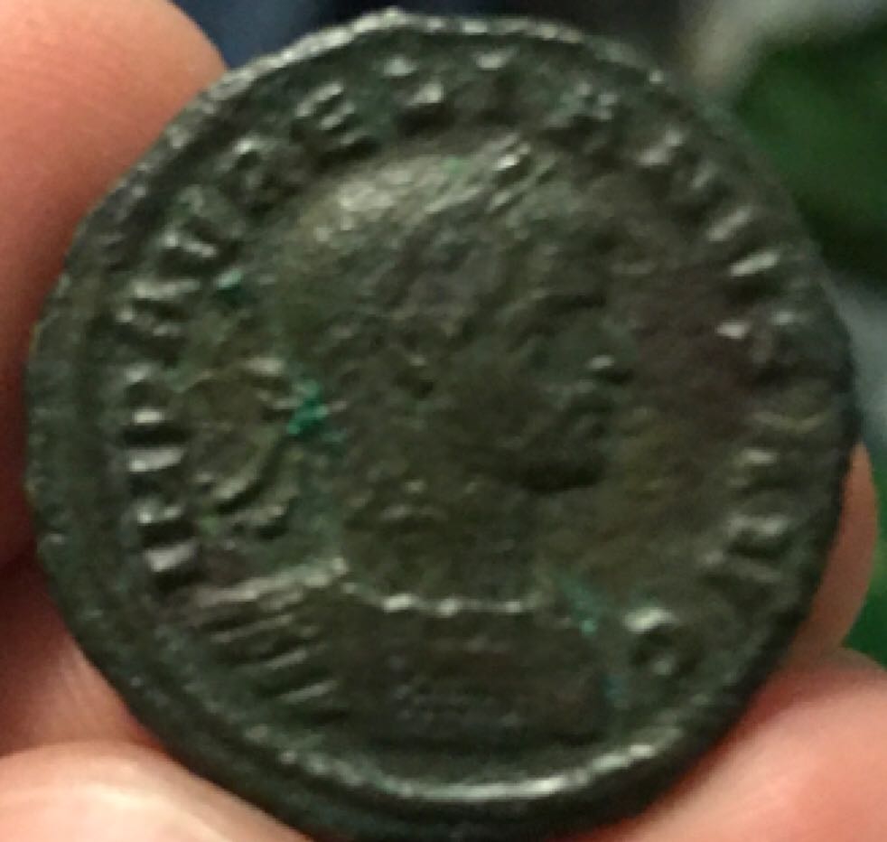 1895 Indian Head Cent