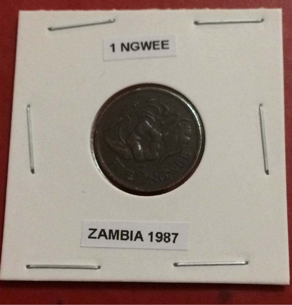 Fusión De Dos Culturas