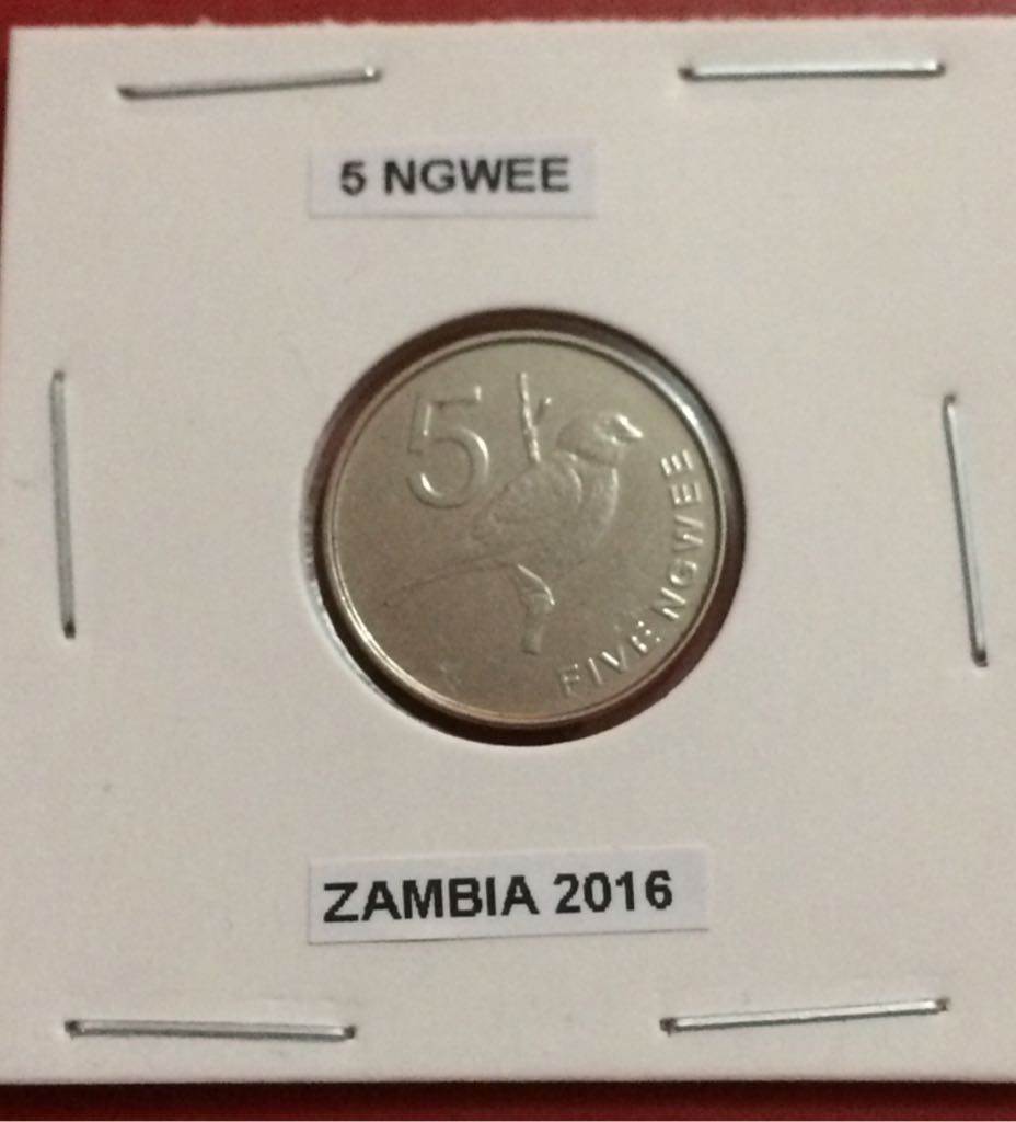 Sterling Silver Loon Dollars