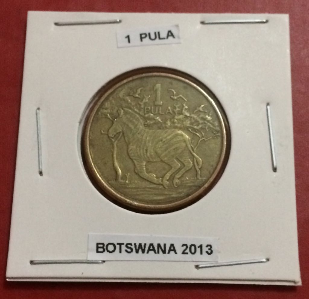 Roll Of Canadian 25 Cent Coins 2007