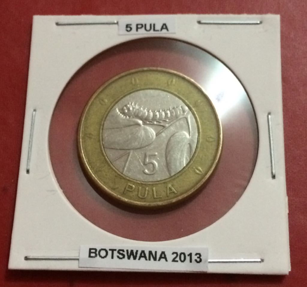 1 Kuna