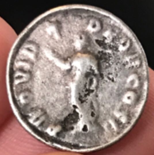 Pertinax Denarius  coin collectible - Main Image 2