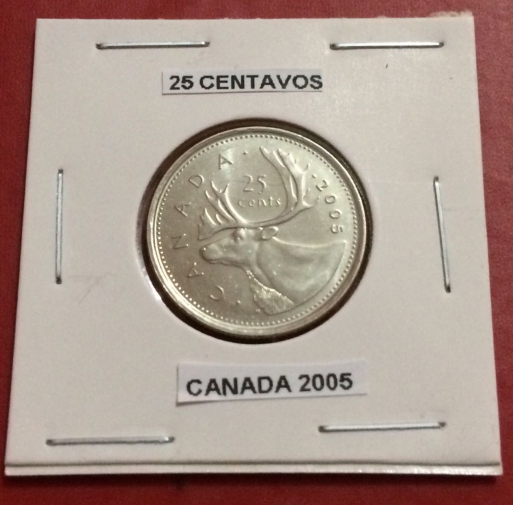 Wild Swift Fox and Pup