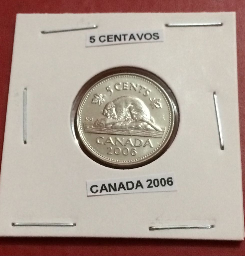 Roll Of Canadian $1.00 Loonie Dollars
