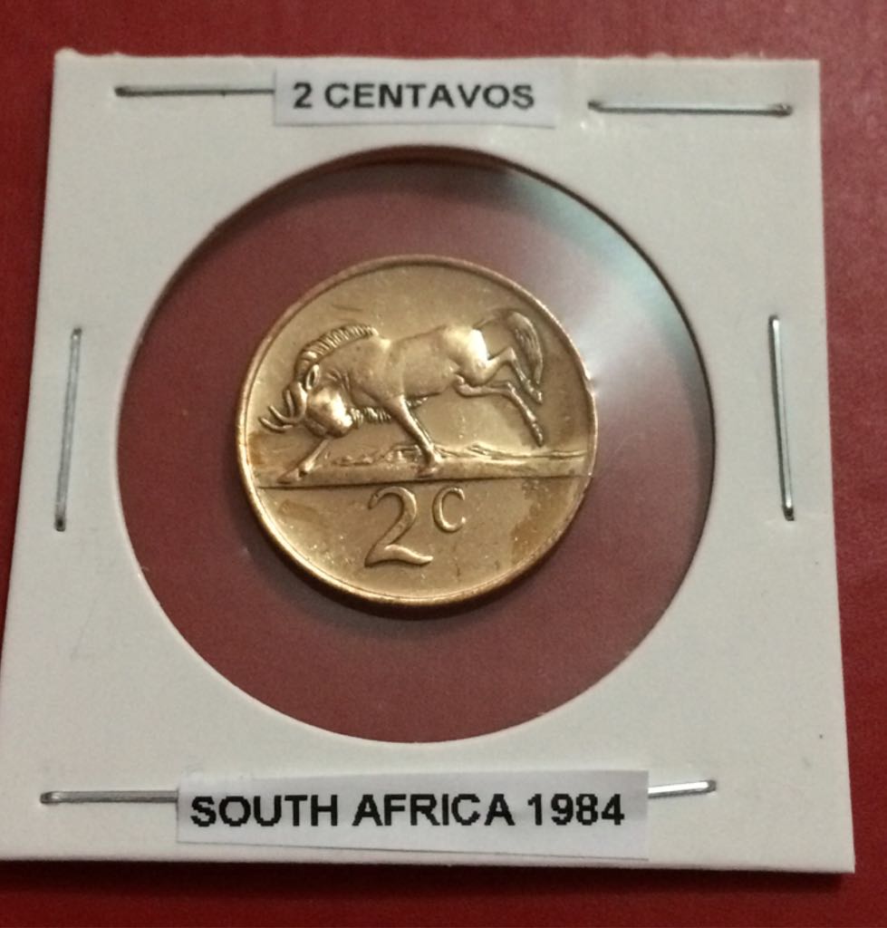 Roll Of Canadian 5 Cent Coins