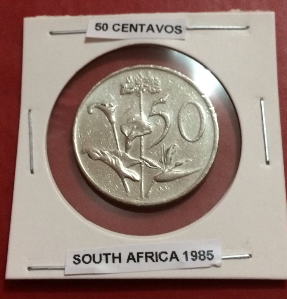 Cased Silver Dollars