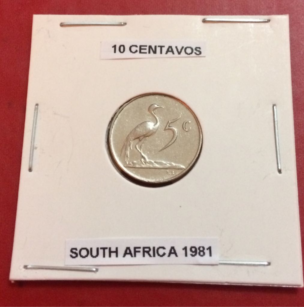 .1 Centavo De Dólar