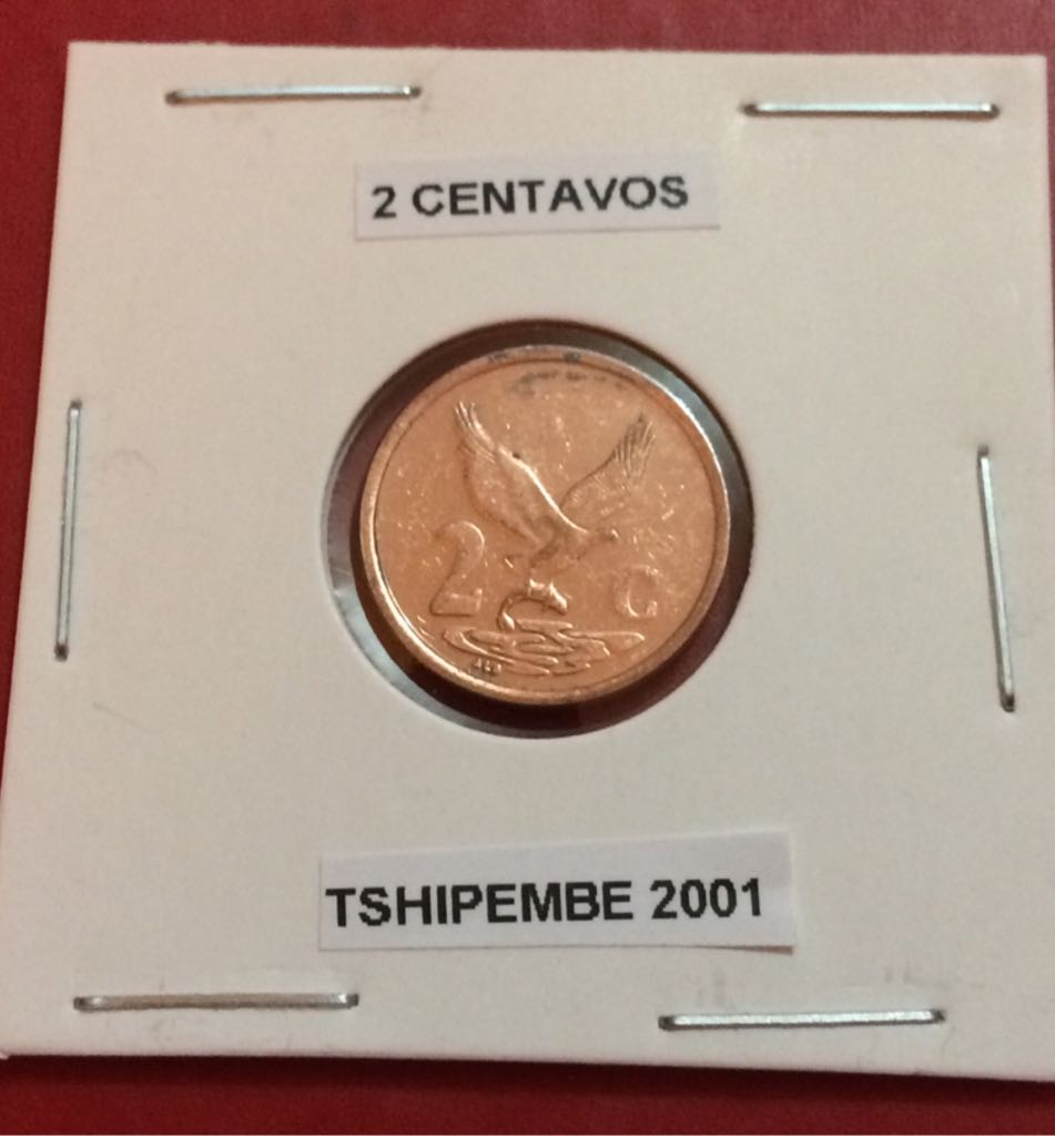 Roll Of Canadian Silver Dollar