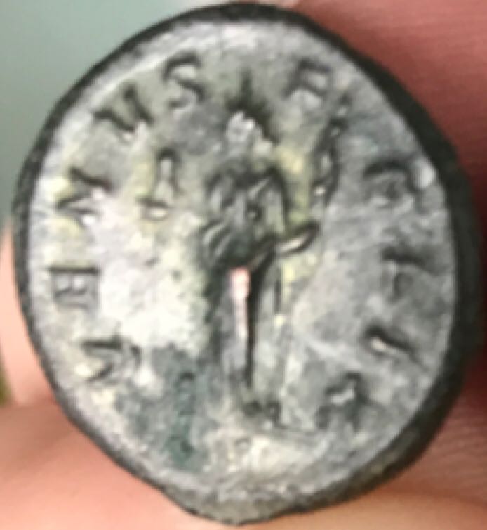 Severina Denarius  coin collectible - Main Image 2