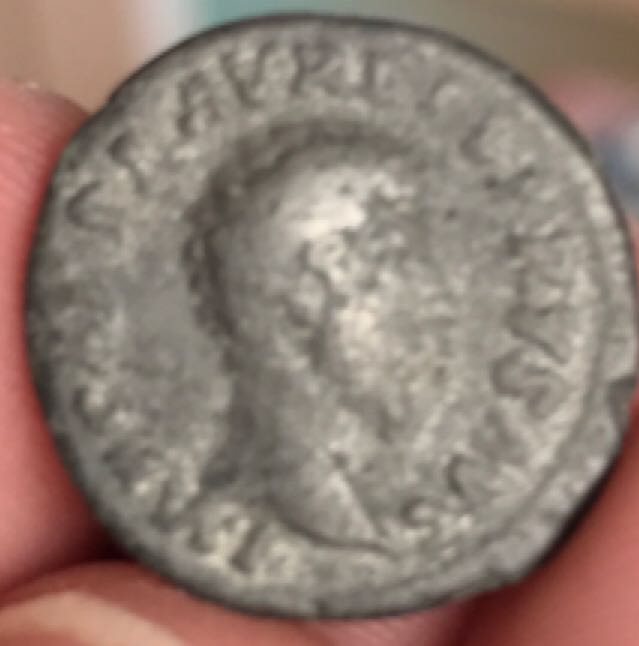 Cased Silver Dollars