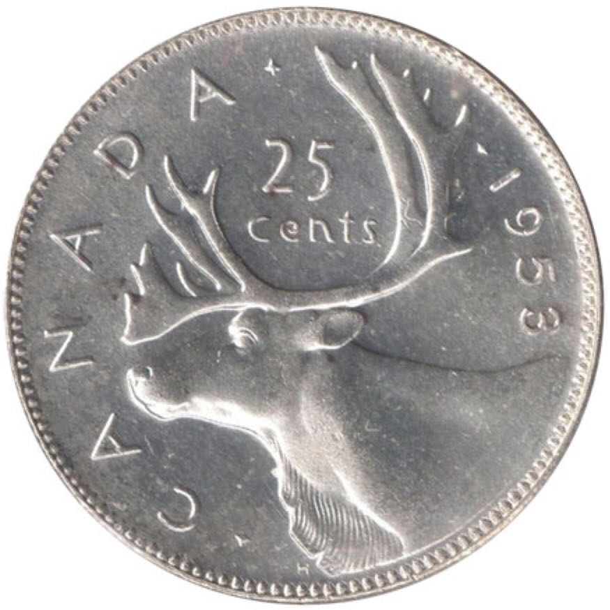 Specimen Set - Ferruginous Hawk