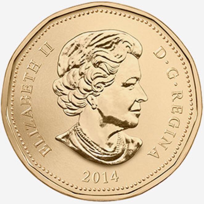 Roll Of Canadian $1.00 Loonie Dollars  coin collectible - Main Image 2