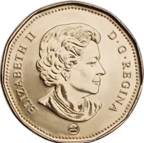 Roll Of Canadian $1.00 Loonie Dollars  coin collectible - Main Image 2