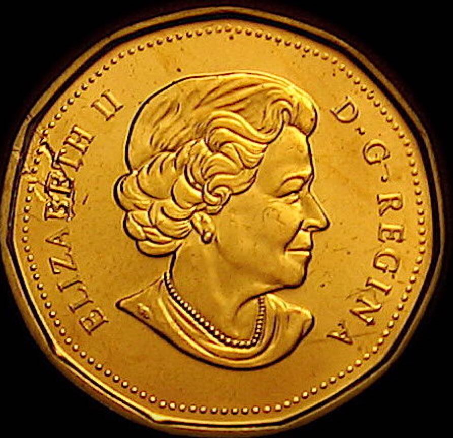 Roll Of Canadian $1.00 Loonie Dollars  coin collectible - Main Image 2