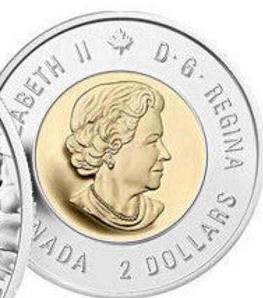 Roll Of Canadian $2.00 Toonies  coin collectible - Main Image 2