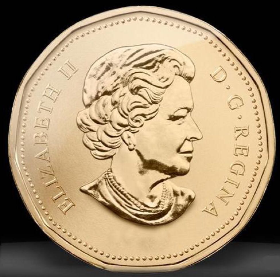Roll Of Canadian $1.00 Loonie Dollars  coin collectible - Main Image 2