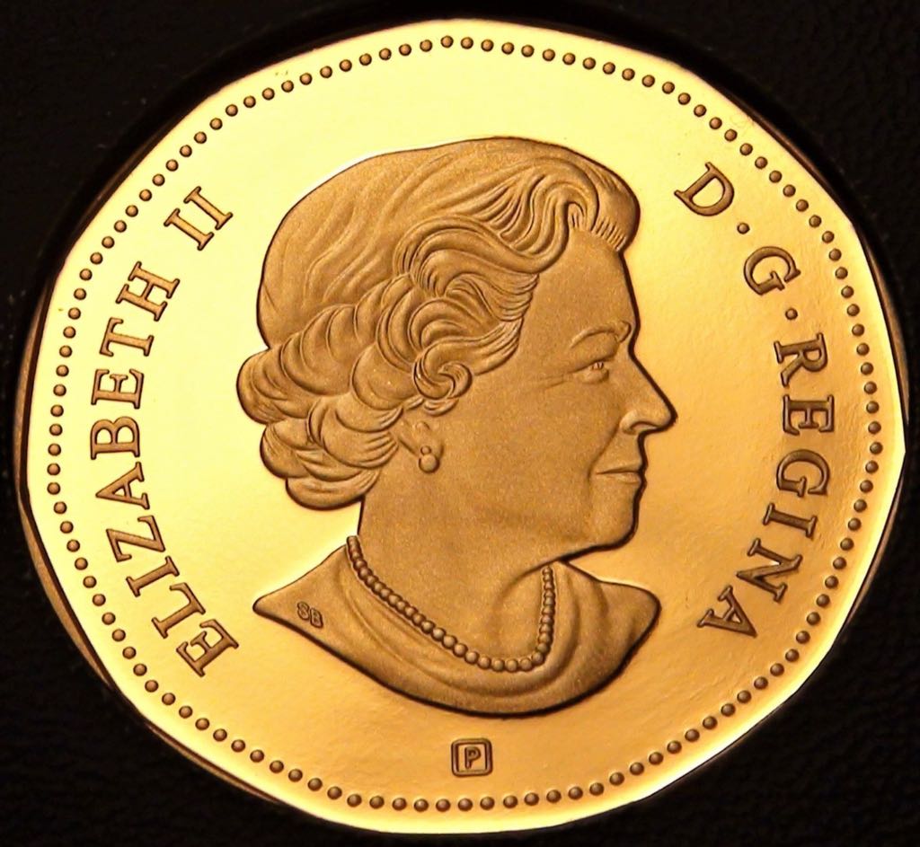 Roll Of Canadian $1.00 Loonie Dollars  coin collectible - Main Image 2