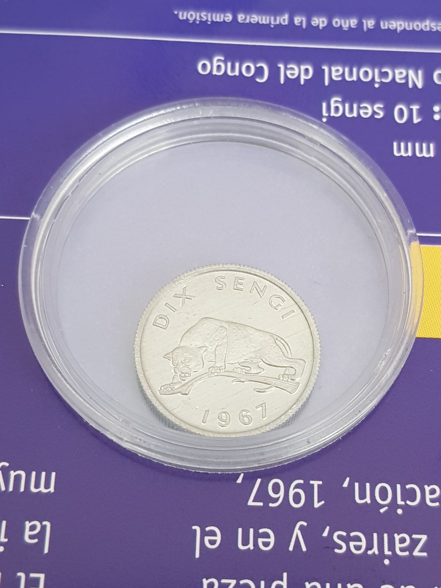 .1 Sengi  coin collectible - Main Image 2