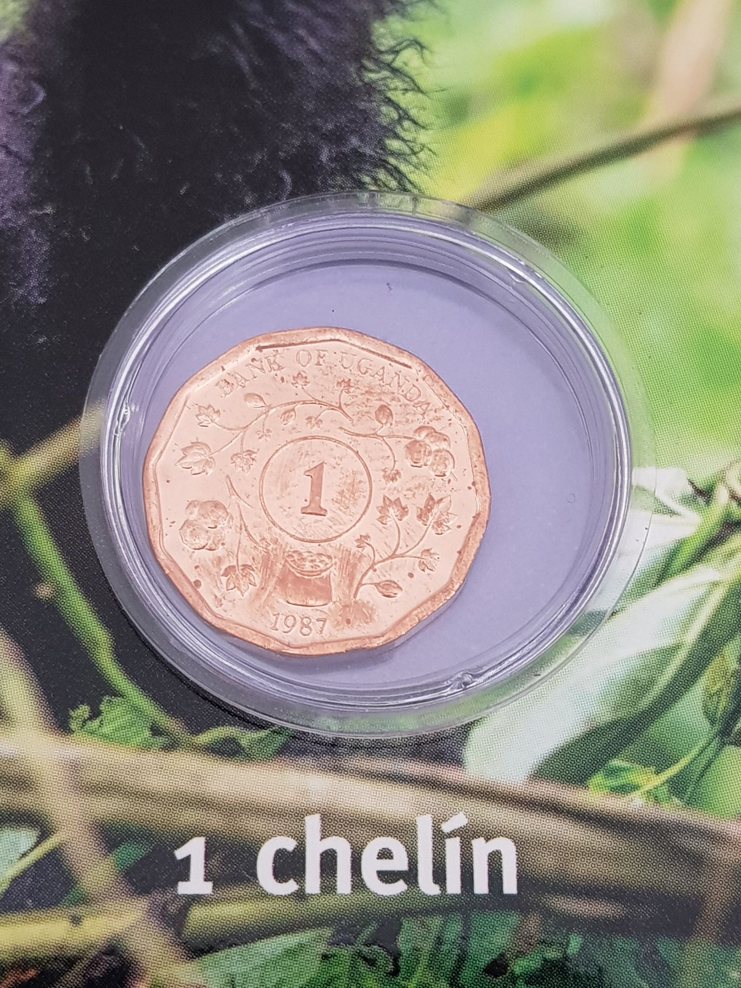 Roll Of Canadian 5 Cent Coin