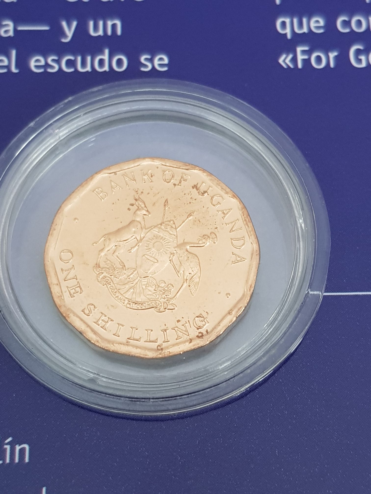 .1 Chelin  coin collectible - Main Image 2