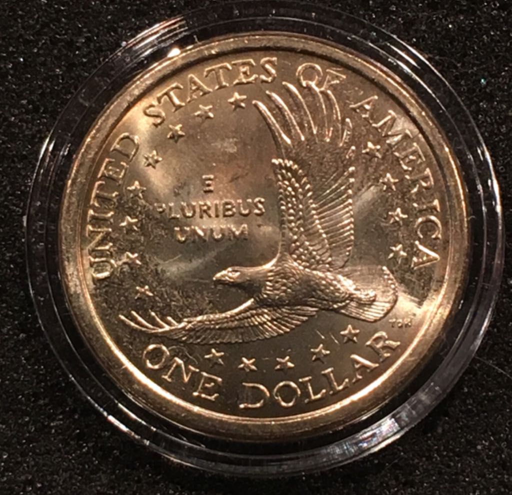 Sacagawea Dollar-100 Uncirculated In Flips  coin collectible - Main Image 2