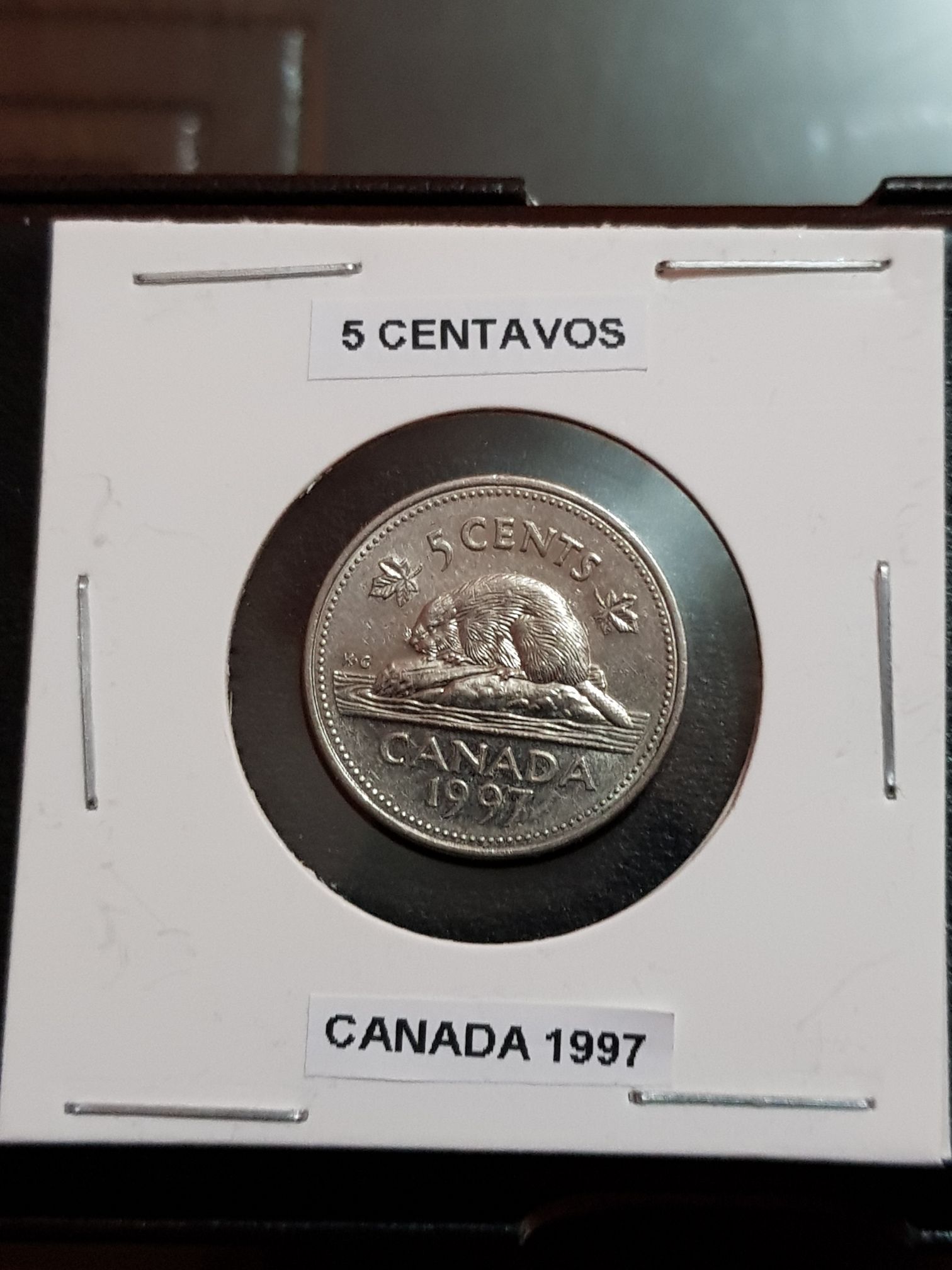 Roll Of Canadian 50 Cent Coins
