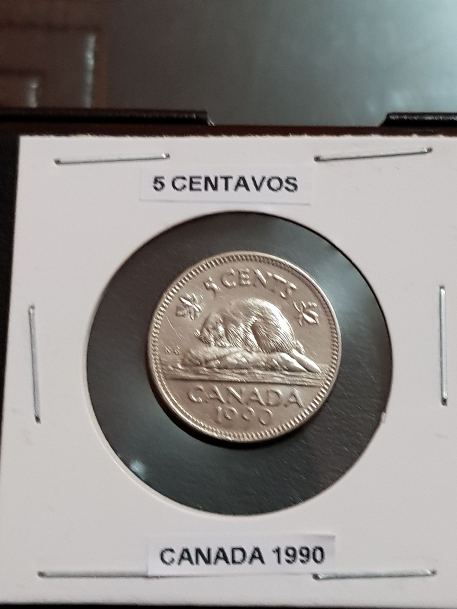 1911 D Lincoln Wheat Cent