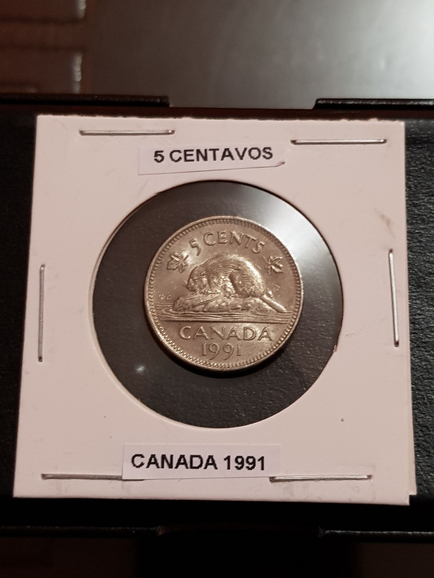 5 Dollars - 20th Anniversary Of The Silver Maple Leaf