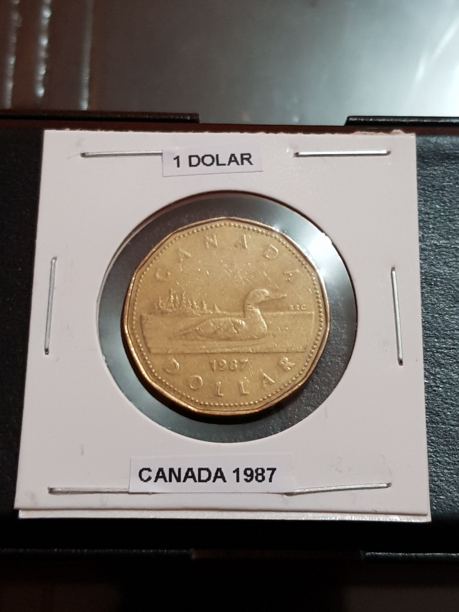 Roll Of Canadian 5 Cent Coins