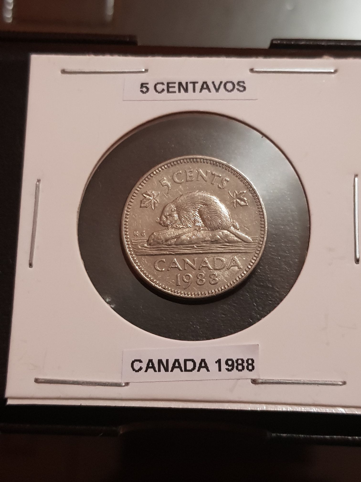 Yleisurheilun 1. MM-kisat