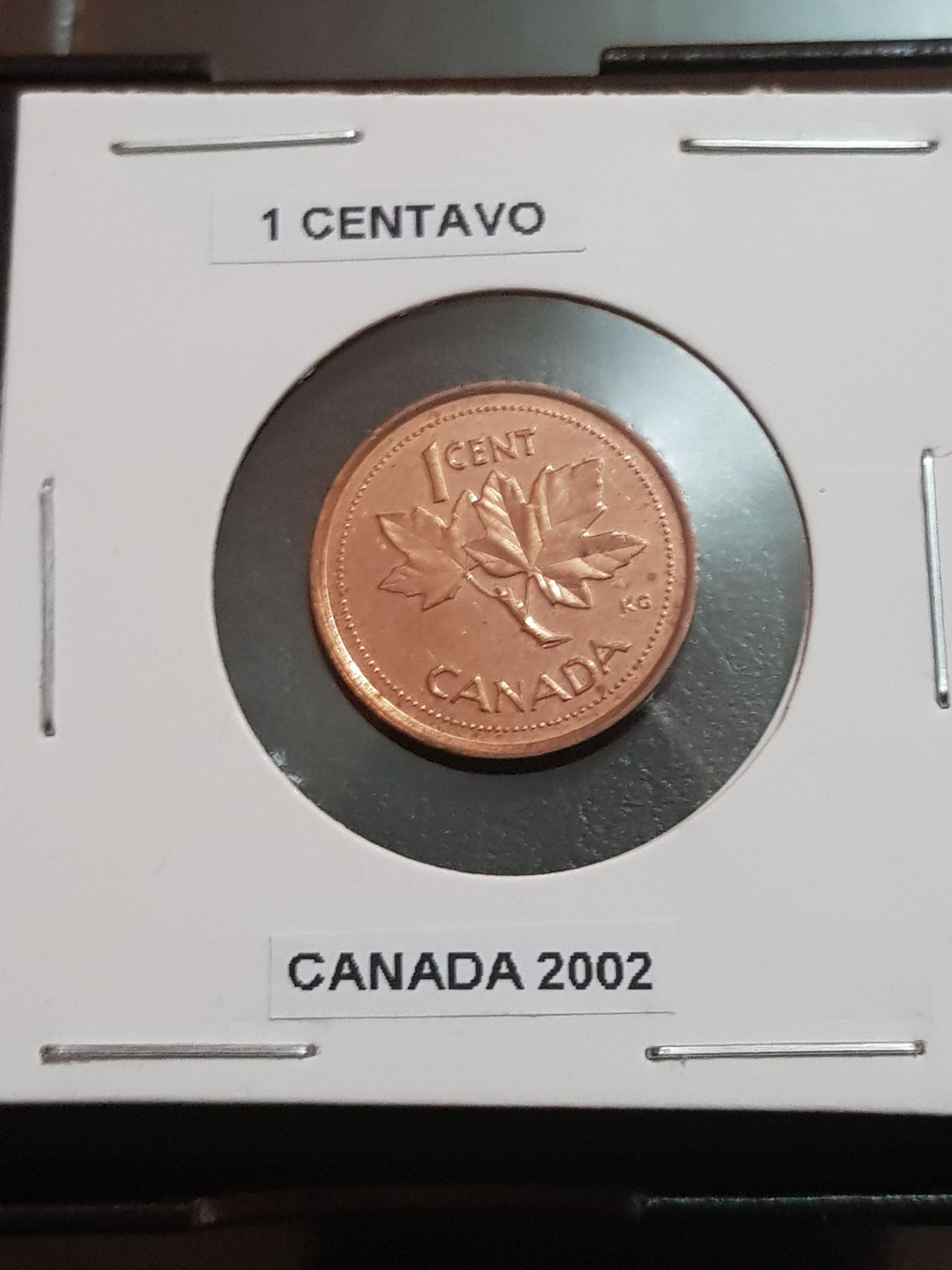 C2 Book - Canadian Silver 1 Dollar Coin