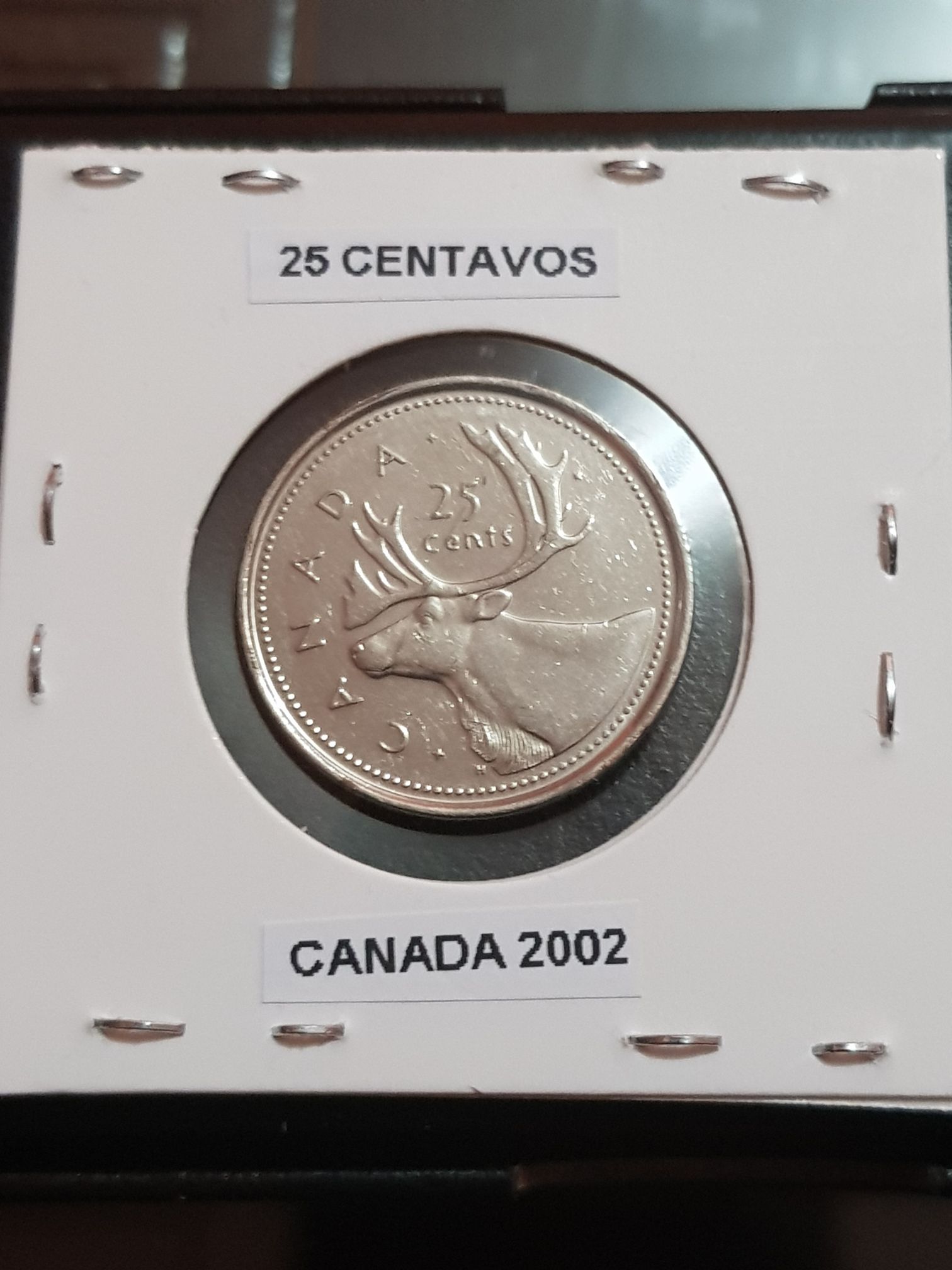 Jonah And The Whale Coin