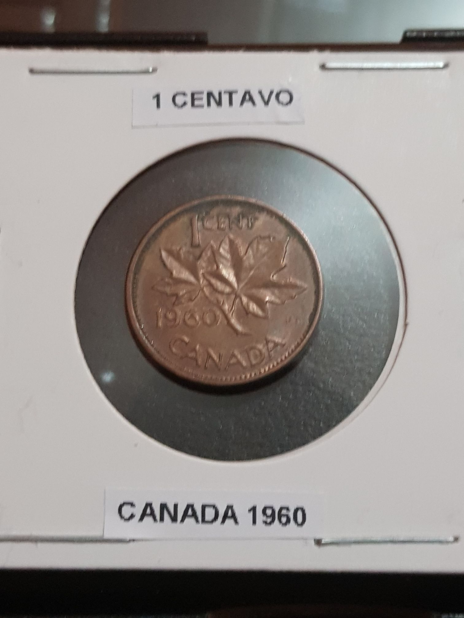 Clodius Albinus Sestertius