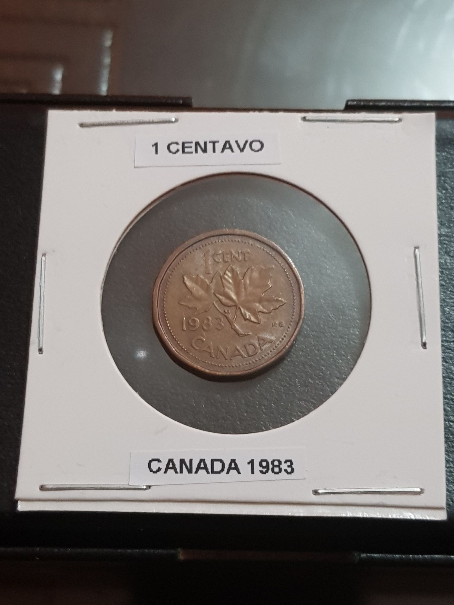 Book - Canadian Nickel 50 Cent Coin