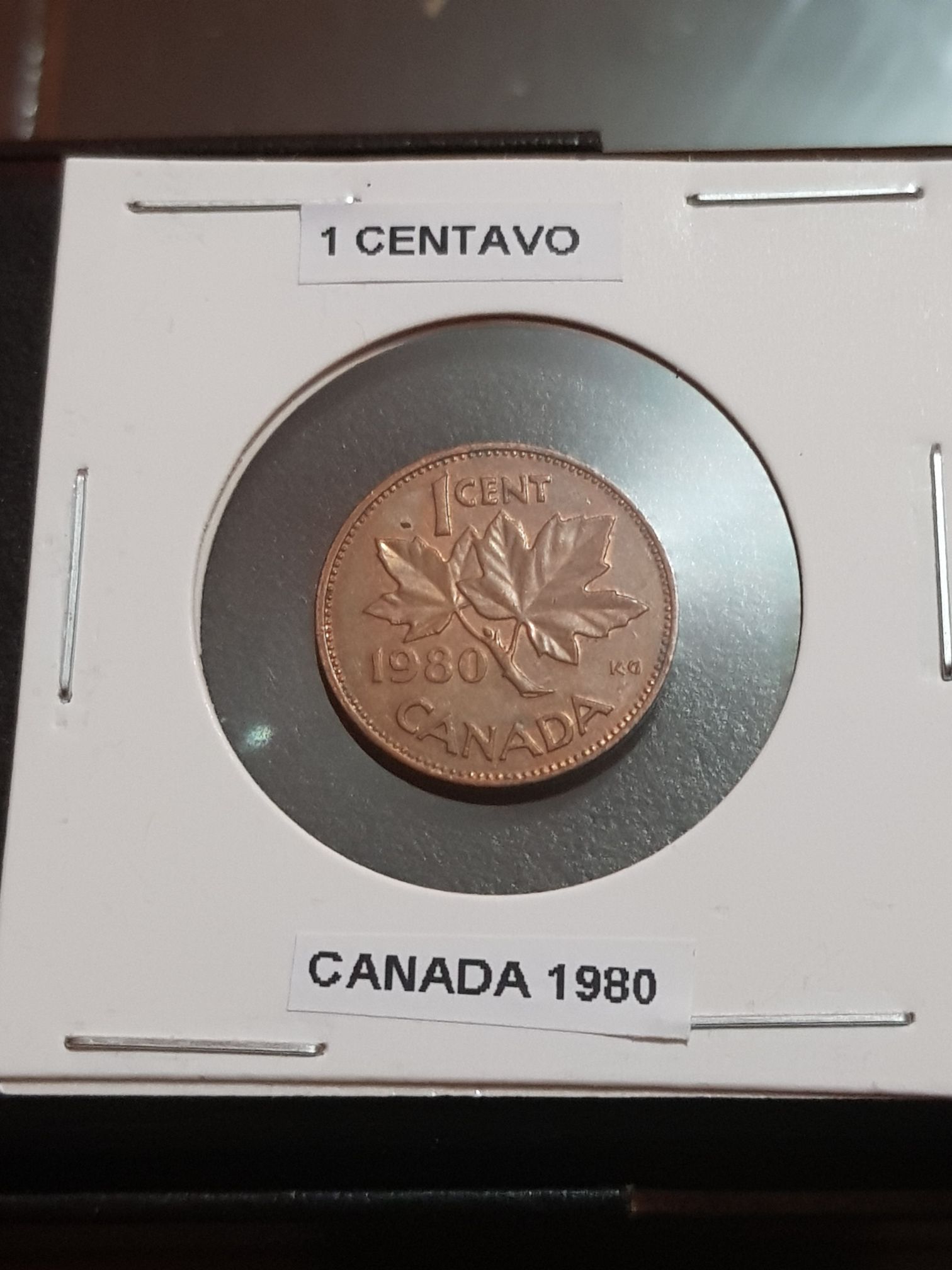 Roll Of Canadian 50 Cent Coins