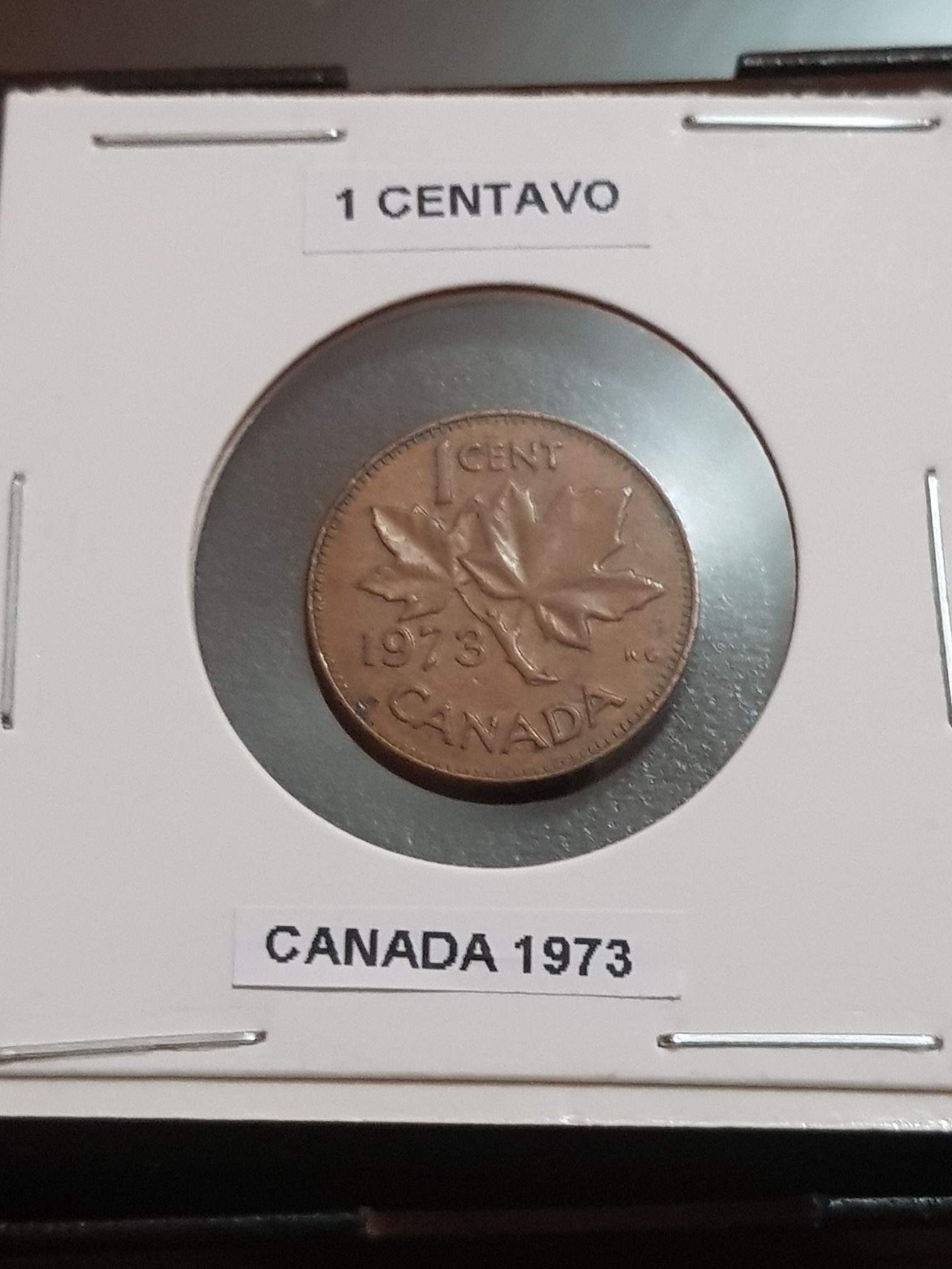Canadian Commemorative Congratulations Coin Set