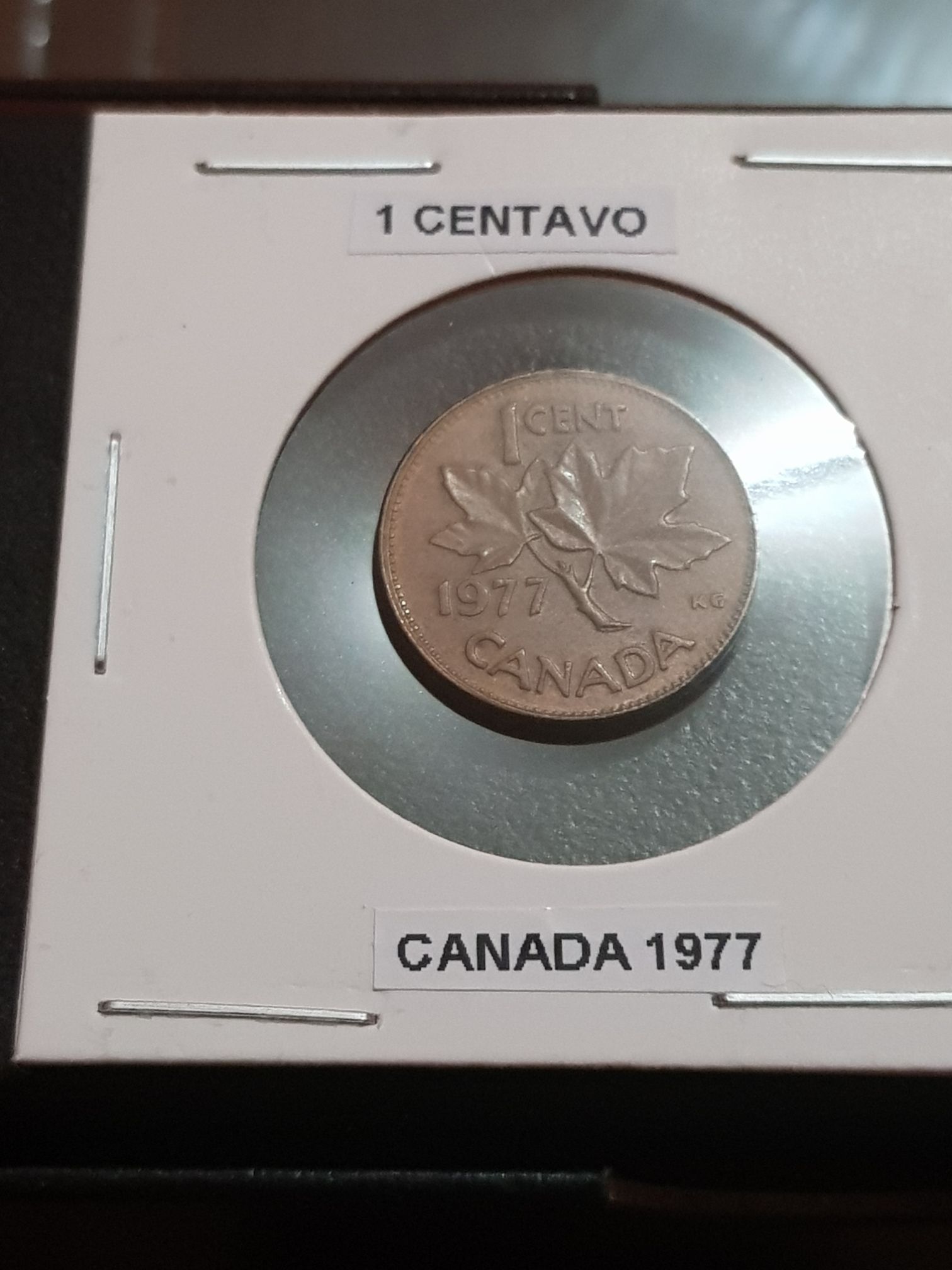 Walking Liberty Gilded Coin