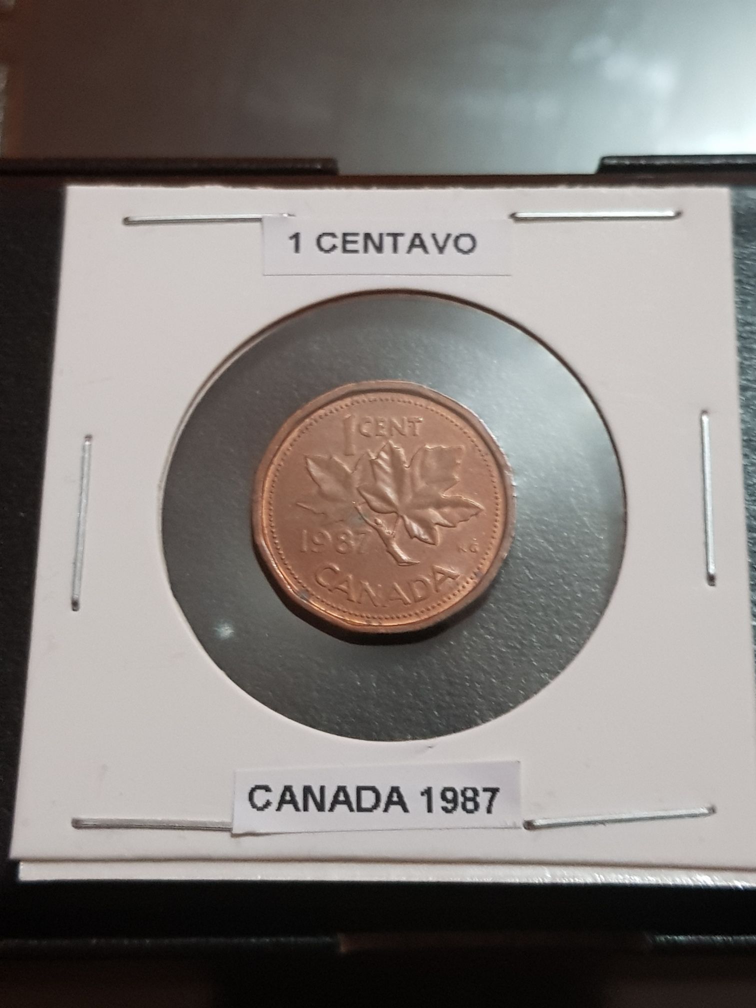 Aurelian Antoninianus (4)