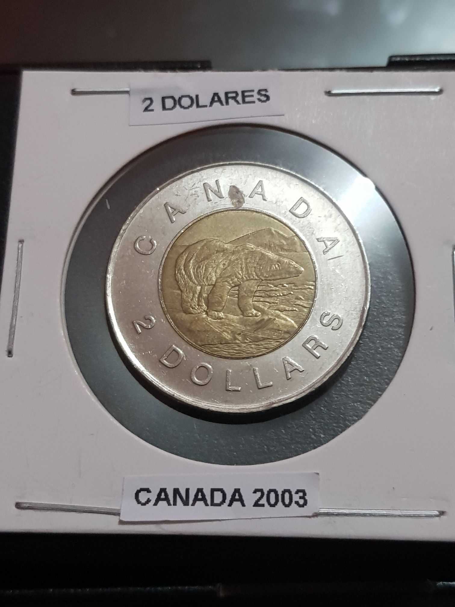 slab 2017 Palladium Eagle PCGS MS70 FIRST STRIKE PCGS No. 653558. 70/34264039