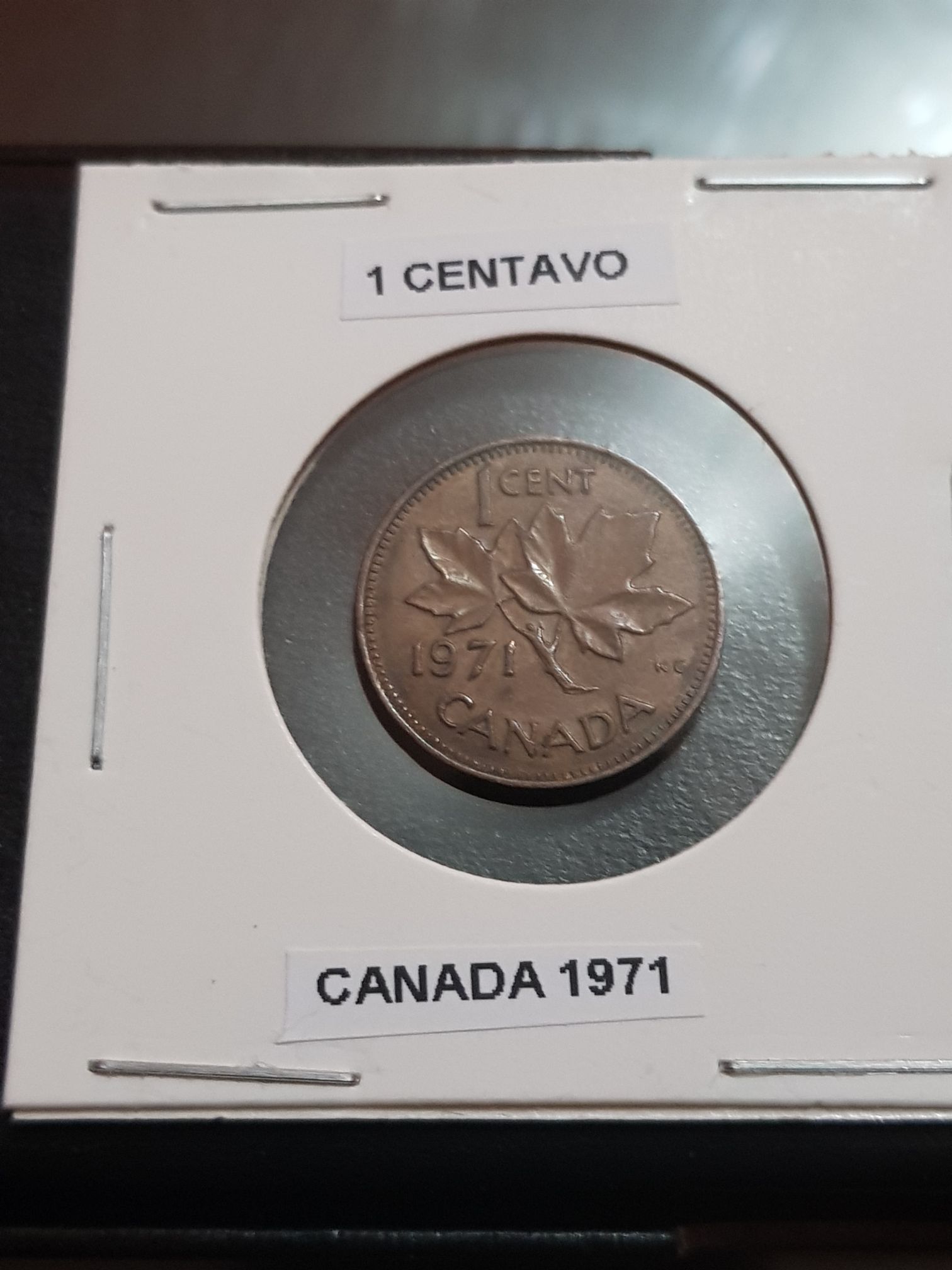 .01 Centavo De Dólar  coin collectible - Main Image 1