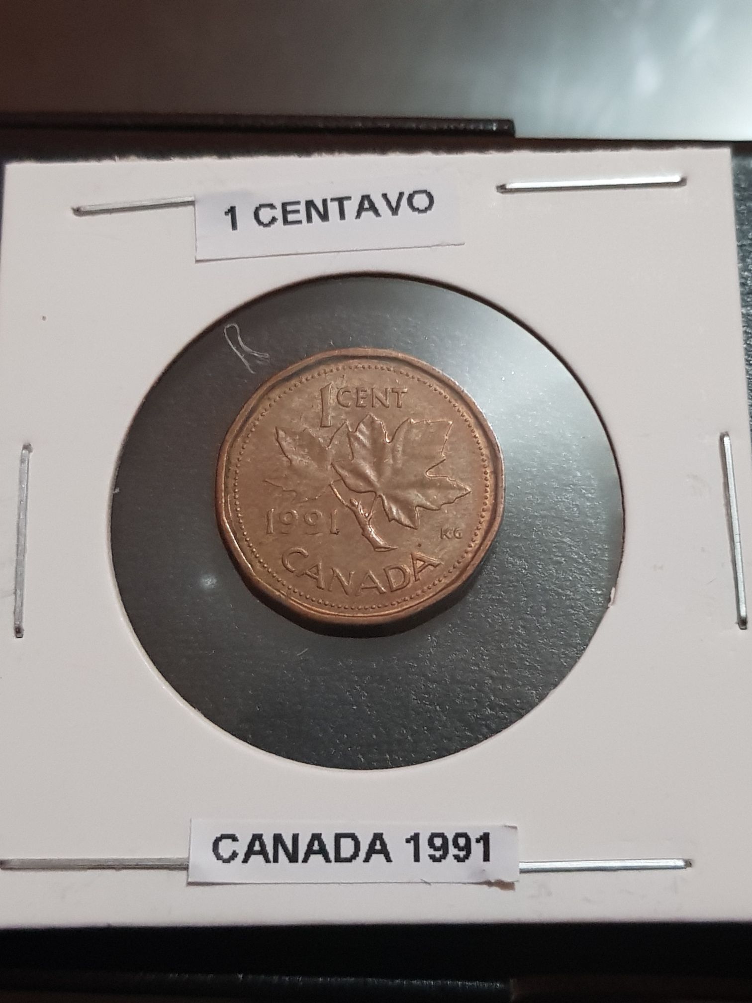 1/4 Real De Chihuahua